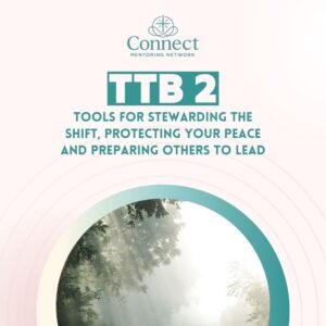 Transition Tool Box 2: Tools for Stewarding the Shift, Protecting your Peace and Preparing Others to Lead